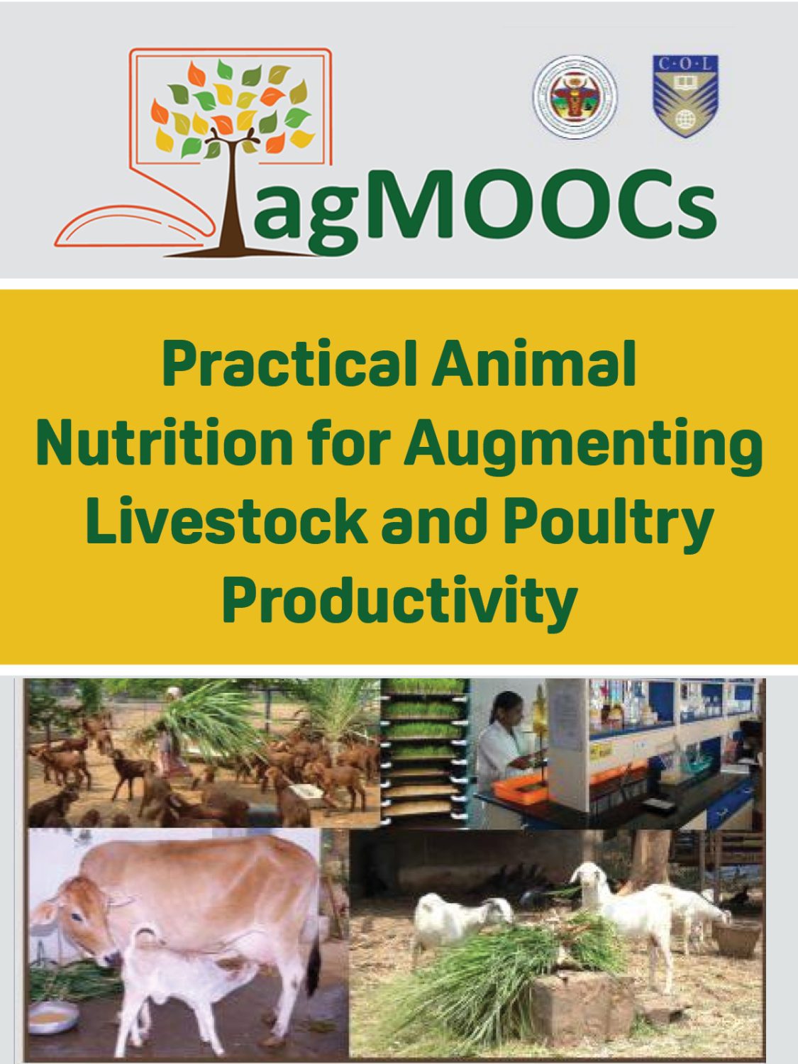 Cover image for Practical Animal Nutrition for Augmenting Livestock and Poultry Productivity