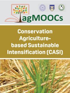 Conservation Agriculture-based Sustainable Intensification book cover