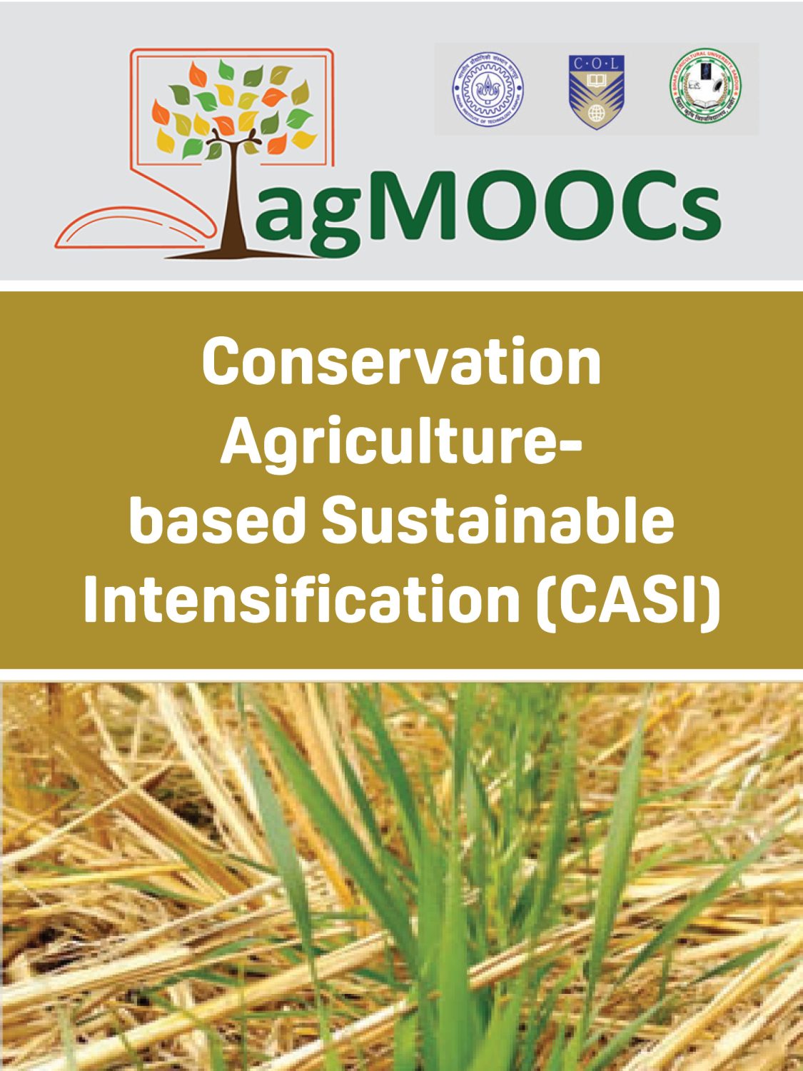 Cover image for Conservation Agriculture-based Sustainable Intensification