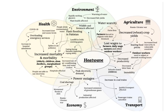 diagram showing the impact of a heatwave on health, environment, agriculture, economy, transport