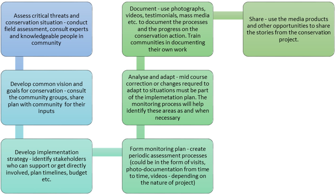 diagram showing steps for adapting to climate change into ecological conservation initiatives