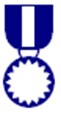 badge or medal icon