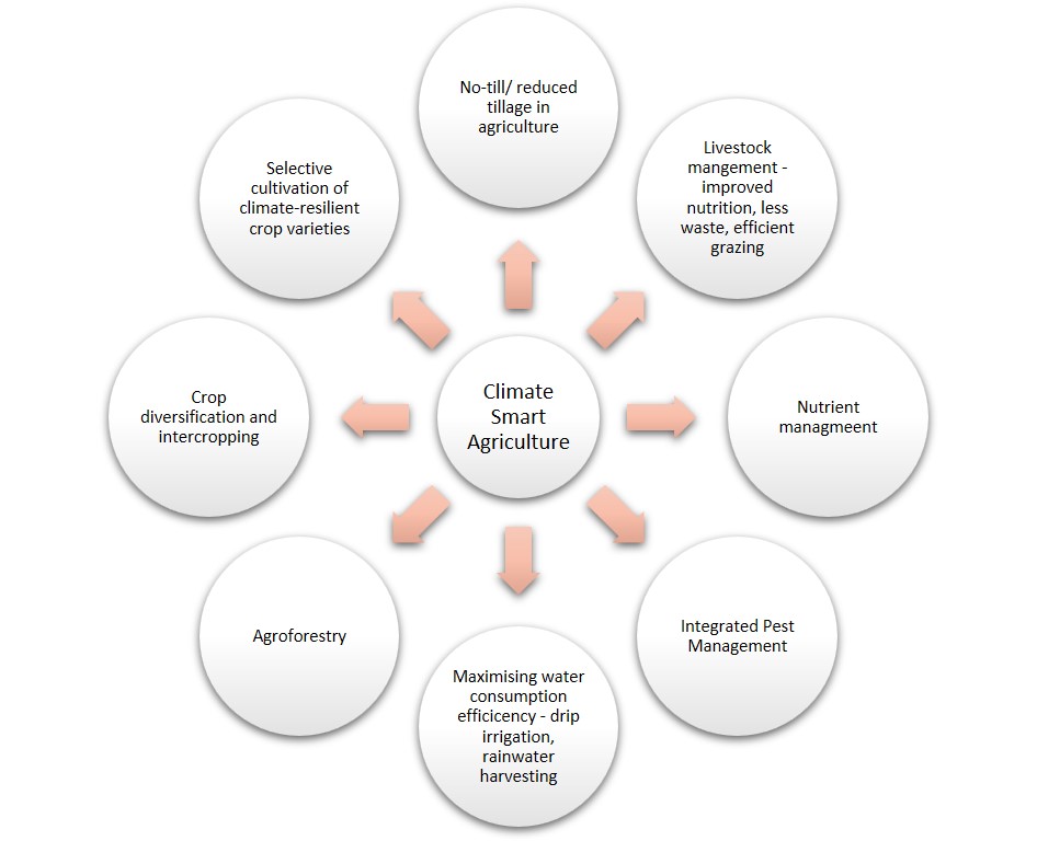 diagram showing climate smart agriculture