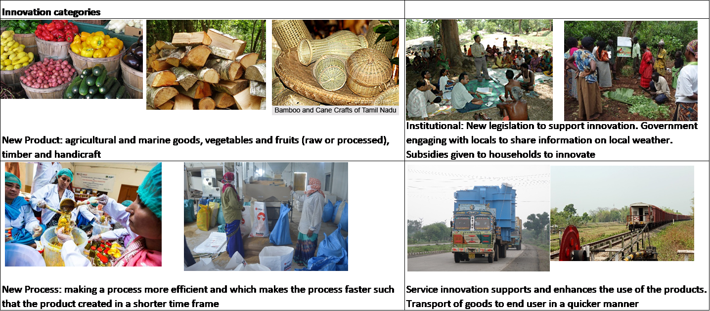 photo collage showing products, institutional, new processes, and service innovation examples