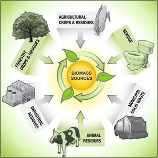 diagram showing biomass sources