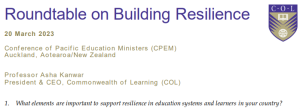 presentation cover for "roundtable on building resilience"