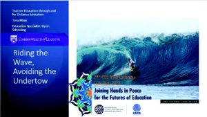 presentation cover for "riding the wave, avoiding the undertow"