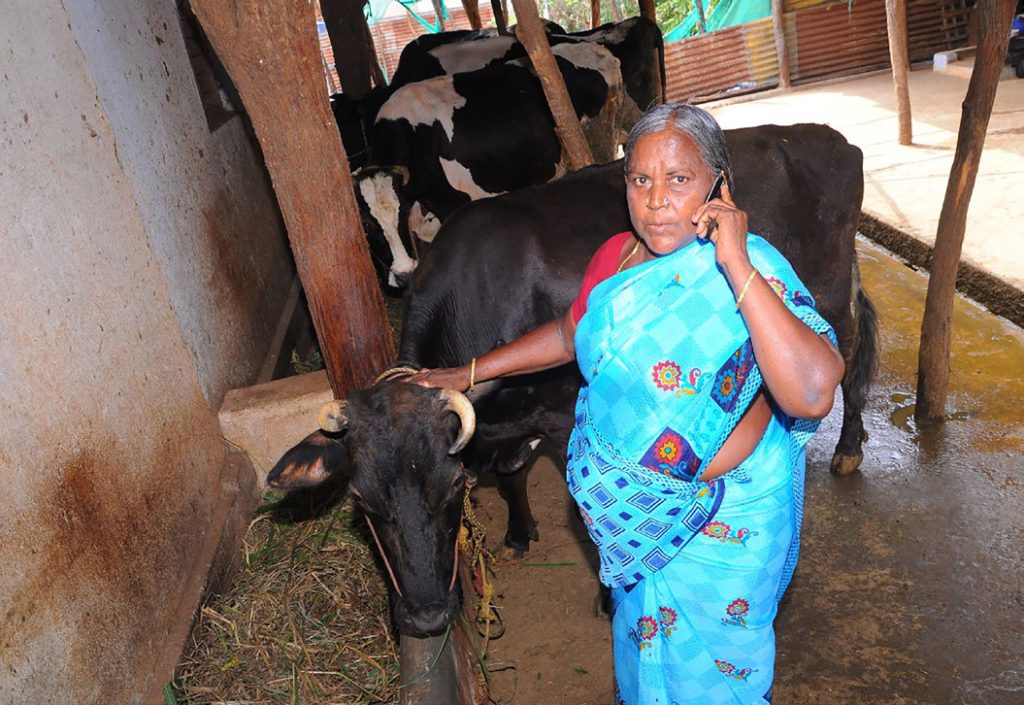 Mrs Saroja standing in a barn with cows using her mobile phone
