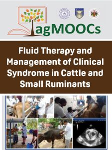 Fluid Therapy and Management of Clinical Syndrome in Cattle and Small Ruminants book cover