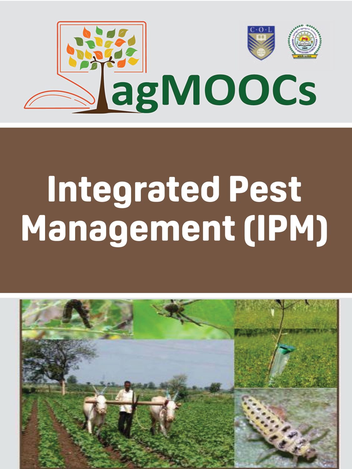 Cover image for Integrated Pest Management (IPM)