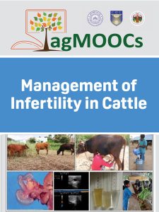 Management of Infertility in Cattle book cover