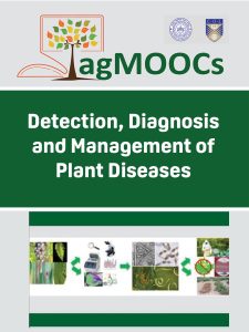Detection, Diagnosis and Management of Plant Diseases book cover