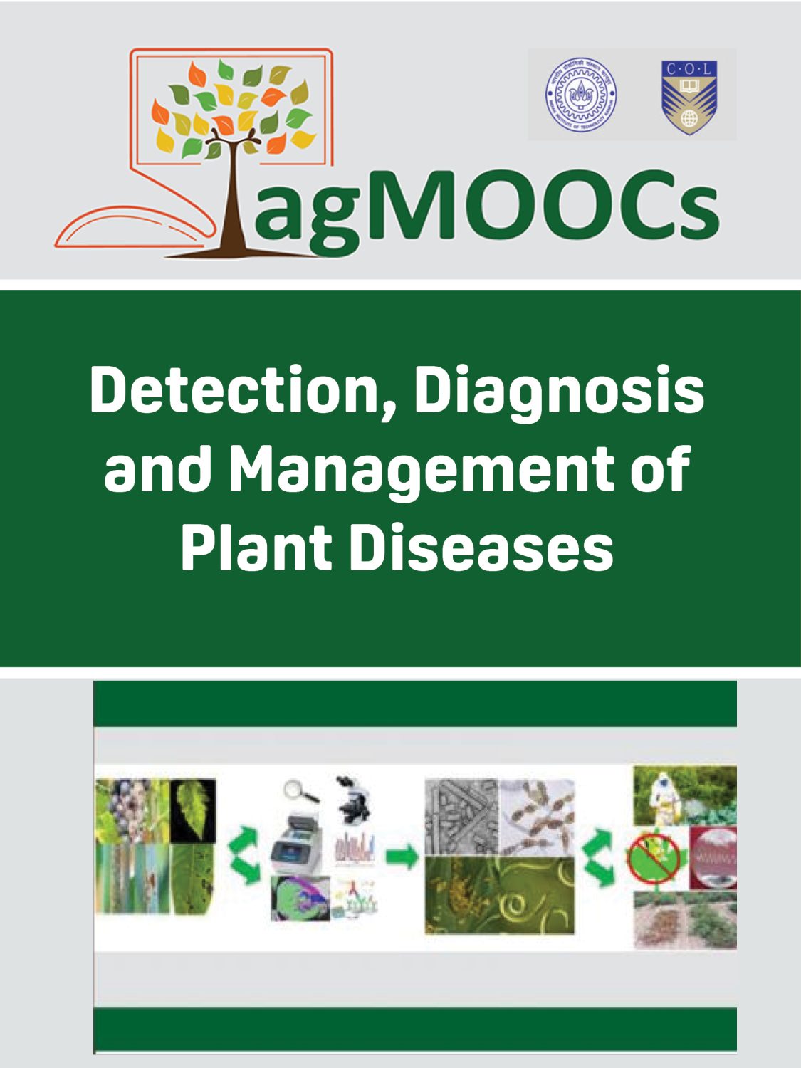 Cover image for Detection, Diagnosis and Management of Plant Diseases