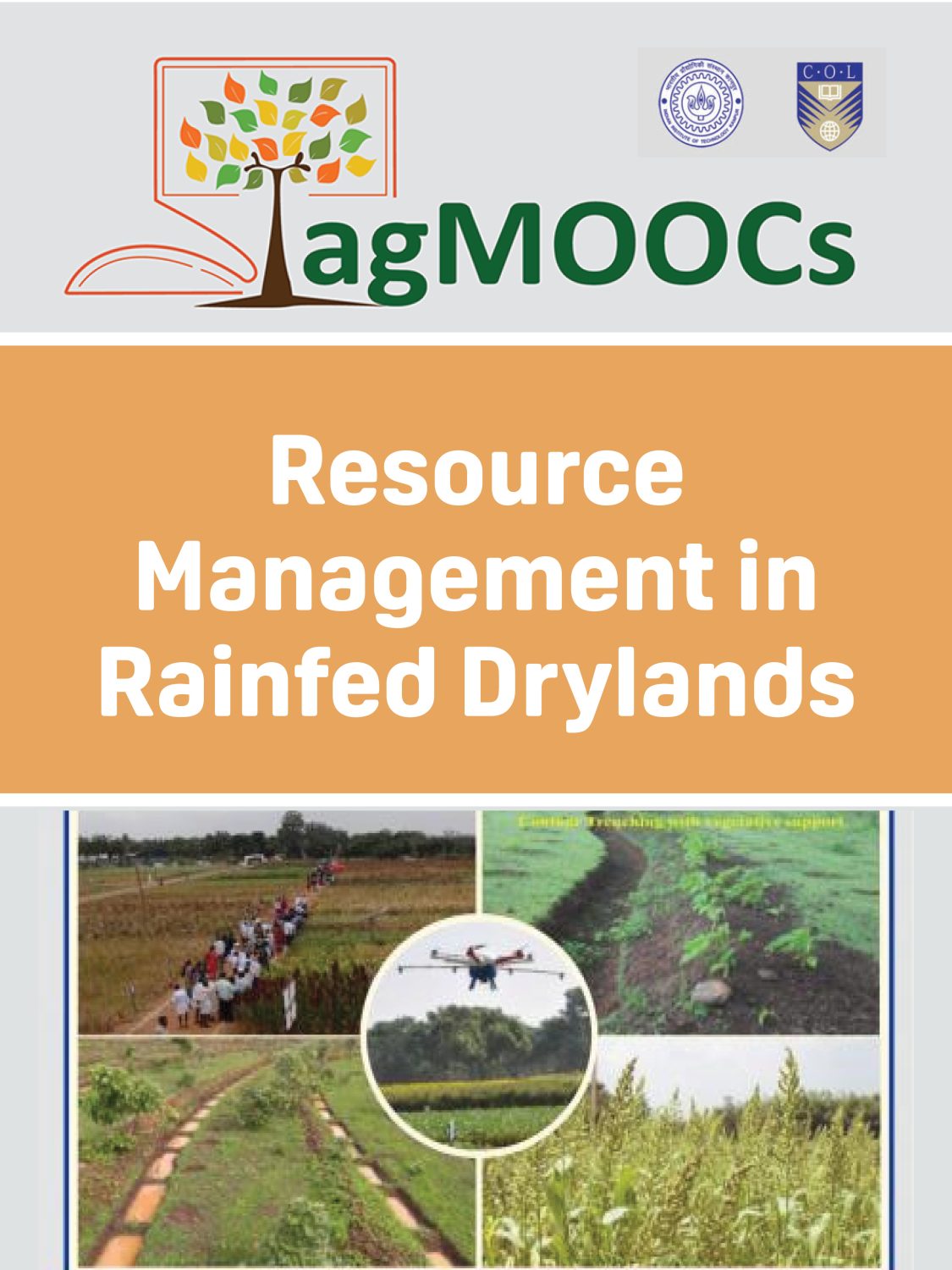 Cover image for Resource Management in Rainfed Drylands