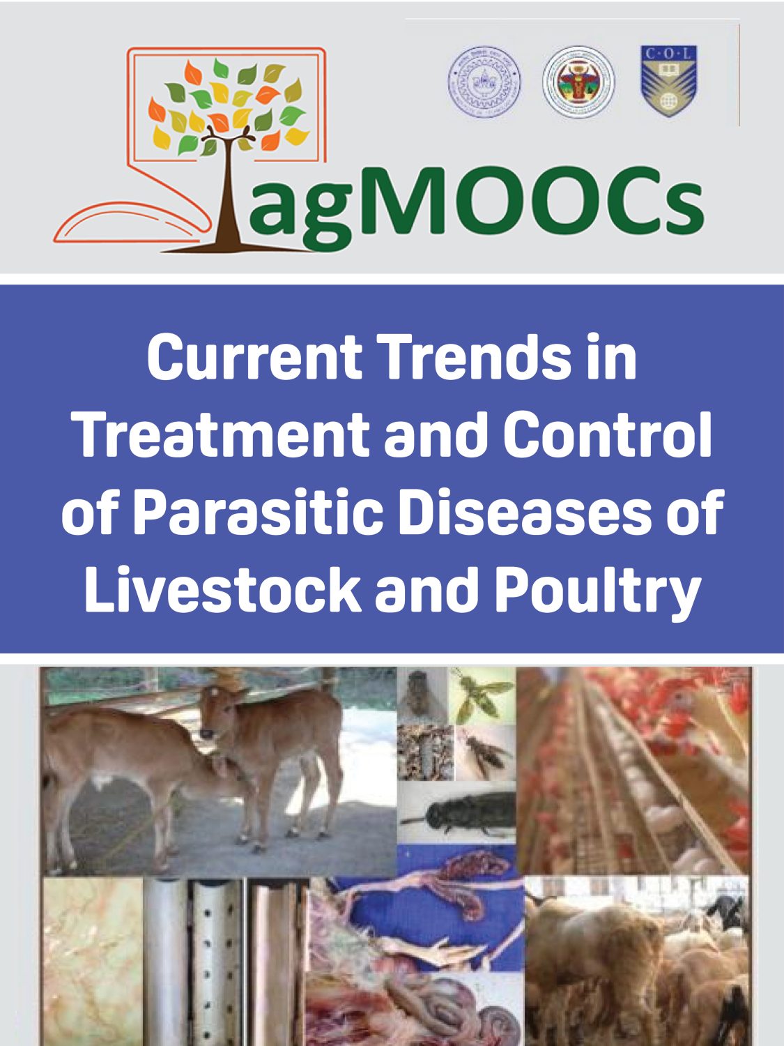 Cover image for Current Trends in Treatment and Control of Parasitic Diseases of Livestock and Poultry