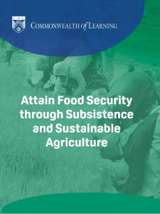 Attain Food Security through Subsistence and Sustainable Agriculture book cover